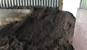 peat